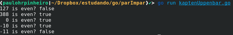 Execução do programa em terminal