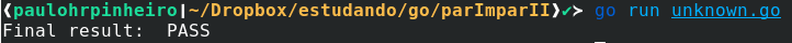 Execução sem problemas do programa no terminal